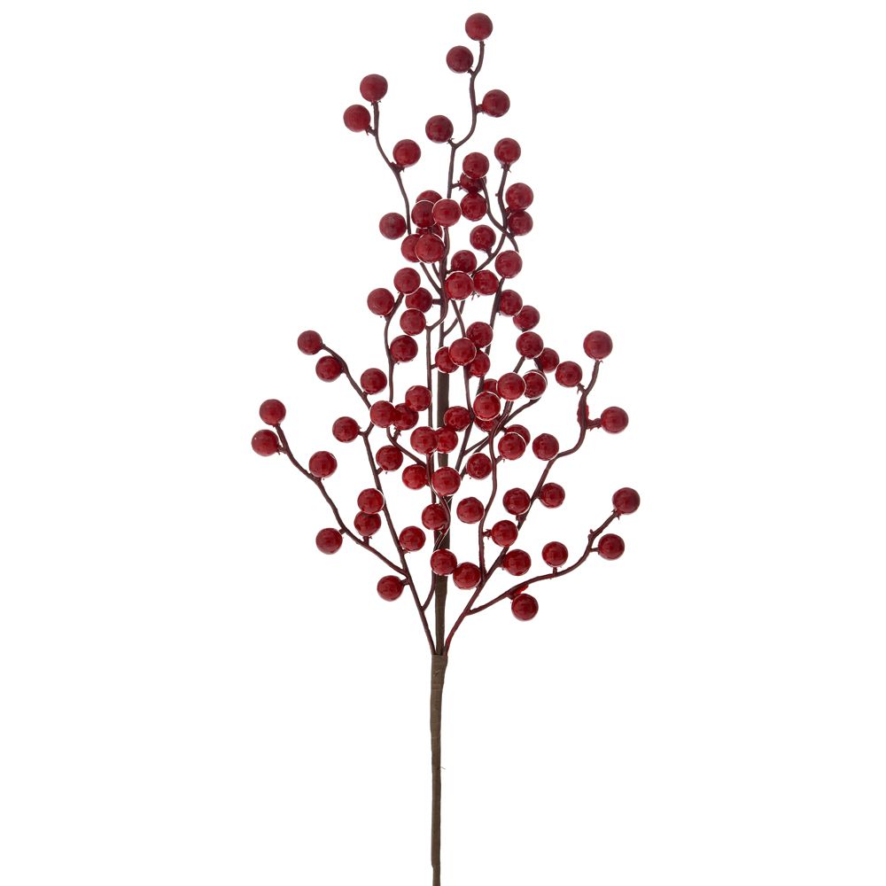СТЪБЛО RED BERRY 58СМ